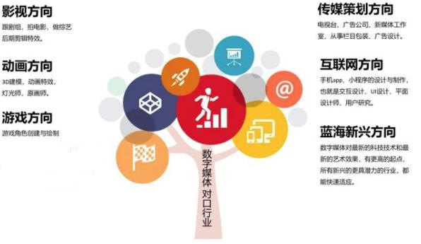 數字媒體藝術專業與數字廣告制作 職業前景與發展路徑